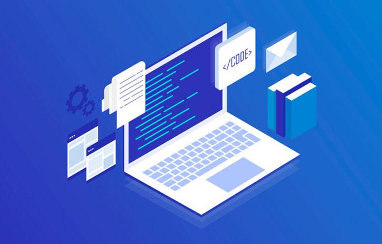 custom web developer